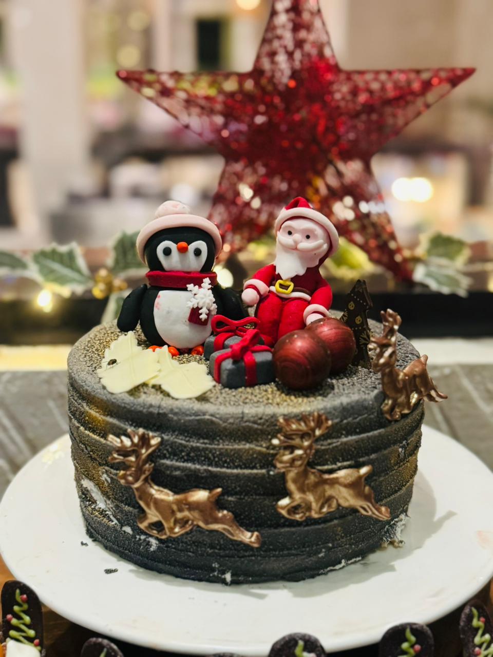 Santa and penguin